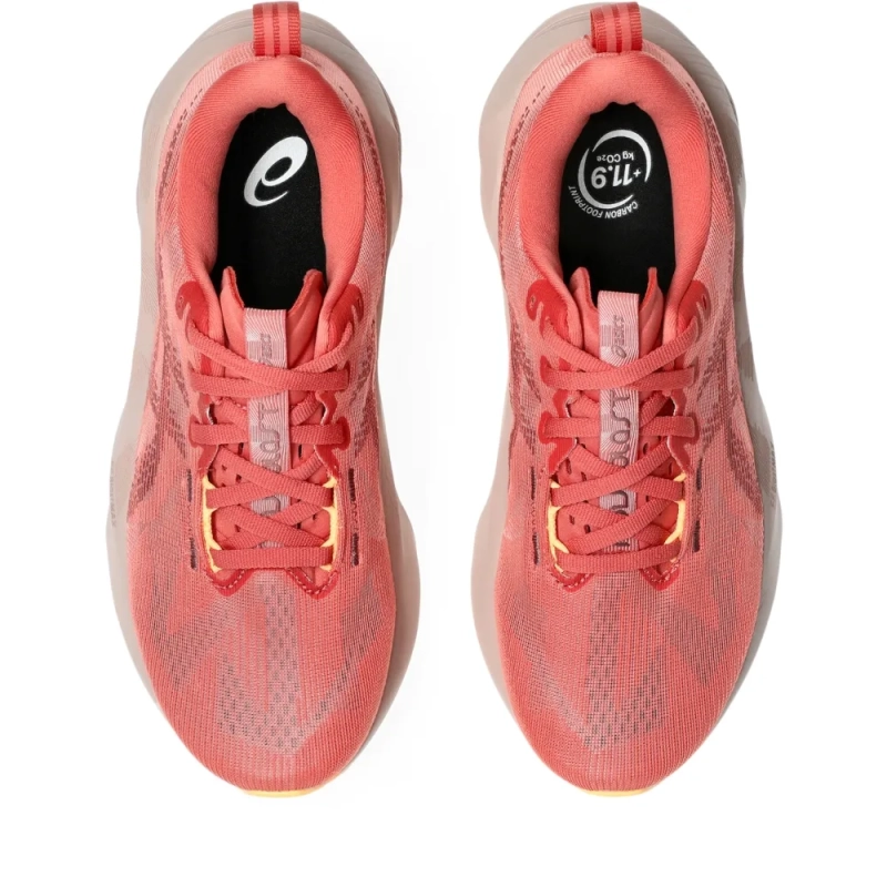 アシックス　NOVABLAST5 レディース　24 Tênis Asics Novablast 5 - Feminino - Rosa e Vermelho Tênis Corrida