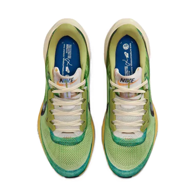 Tênis Nike Air Zoom Pegasus 41 SE Masculino