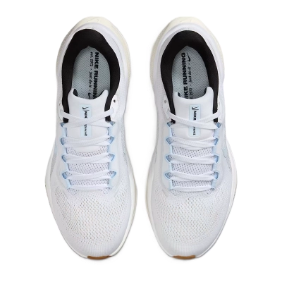 Tênis Nike Pegasus 41 Feminino
