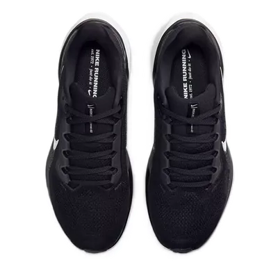 Tênis Nike Pegasus 41 Feminino